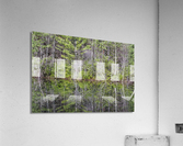 Kancamagus Highway - White Mountains New Hampshire Acrylic Print