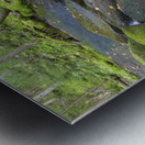 Scarface Brook - Bethlehem New Hampshire Metal print