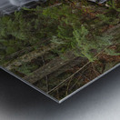 Rollo Fall - Randolph New Hampshire Metal print