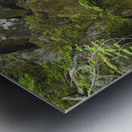 Duck Fall - Low and Burbanks Grant New Hampshire  Metal print