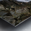 Whitehouse Brook - Lincoln New Hampshire Impression metal