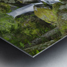 Cold Brook - Low and Burbanks Grant New Hampshire Impression metal