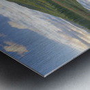 Cherry Mountain - Moorhen Marsh Pondicherry Wildlife Refuge Impression metal