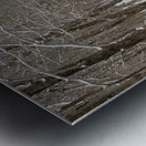 Lafayette Ski Trails - Franconia New Hampshire Metal print