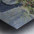 Madame Sherri Forest - Chesterfield New Hampshire Metal print