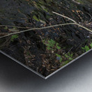 Blue Ravine Cascades - Kinsman Notch New Hampshire Metal print