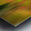 Wildlife Pond - Bethlehem  New Hampshire  Metal print