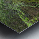 Tama Fall - Randolph New Hampshire  Metal print