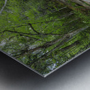 Walker Brook Cascades - Franconia Notch New Hampshire Metal print