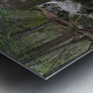 Gibbs Brook - White Mountains New Hampshire Metal print