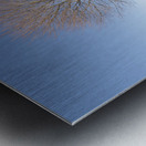 Great Island Common - New Castle New Hampshire Metal print