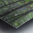 Nancy Pond Trail - Pemigewasset Wilderness New Hampshire  Metal print