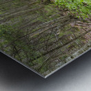 Thoreau Falls Trail - Pemigewasset Wilderness New Hampshire Impression metal