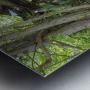 Trestle 16 - East Branch & Lincoln Railroad New Hampshire Metal print