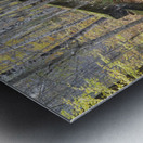 Village of Livermore New Hampshire Metal print