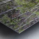 Kancamagus Highway - White Mountains New Hampshire Impression metal