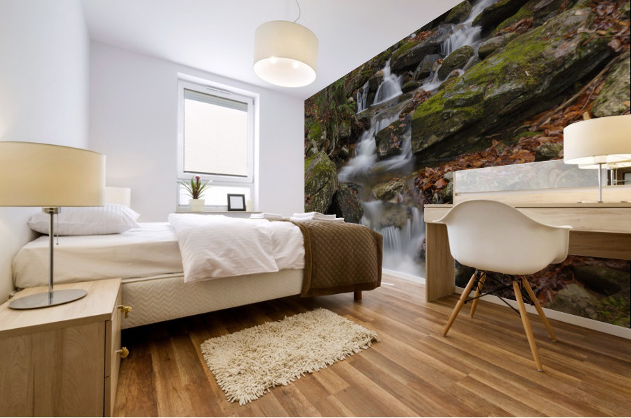 Rollo Fall - Randolph New Hampshire Mural print