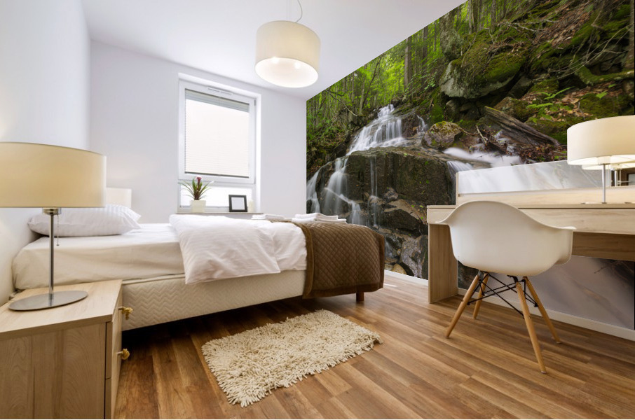 Franconia Notch - White Mountains New Hampshire Impression murale