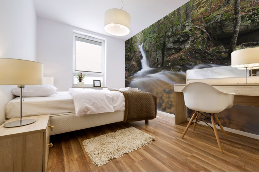 Ellens Falls - Albany New Hampshire Mural print