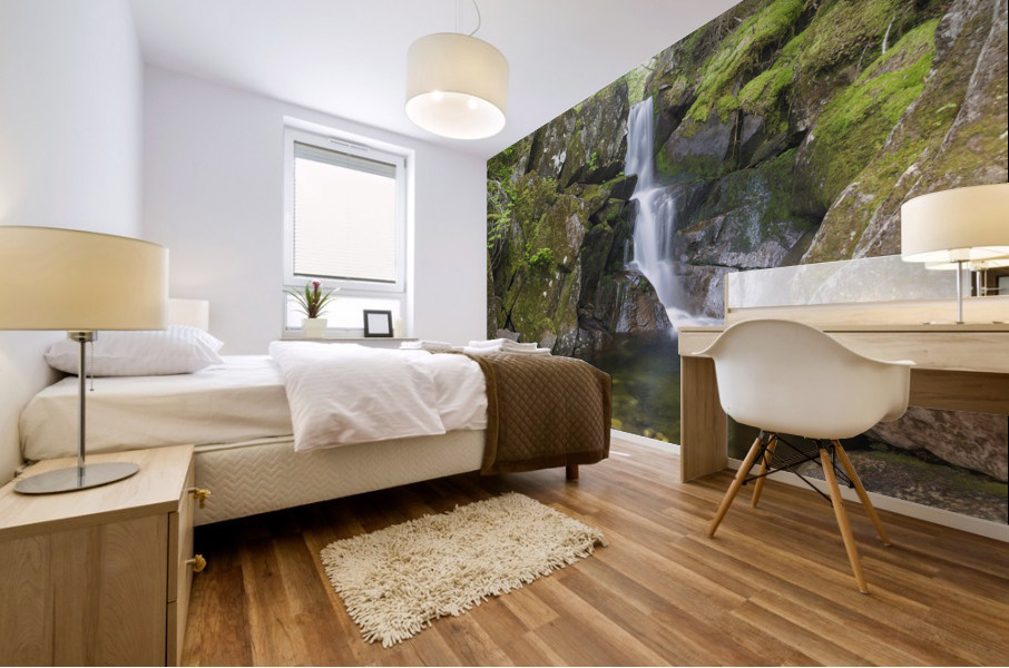 Duck Fall - Low and Burbanks Grant New Hampshire  Mural print