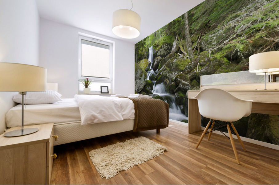 Cold Brook - Low and Burbanks Grant New Hampshire Impression murale