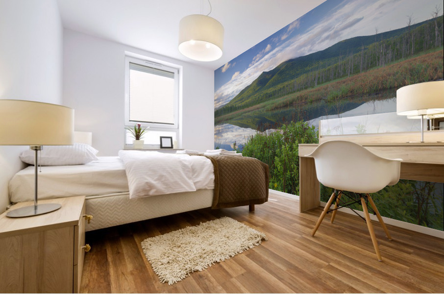 Cherry Mountain - Moorhen Marsh Pondicherry Wildlife Refuge Impression murale