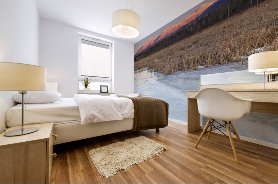 Pondicherry Wildlife Refuge - Jefferson New Hampshire Mural print