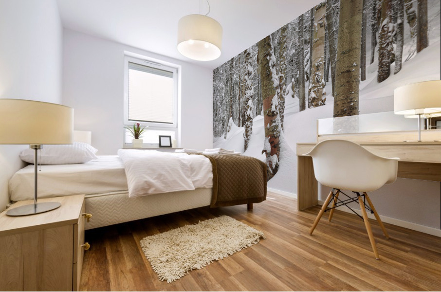 Mount Jim - Kinsman Notch New Hampshire Mural print