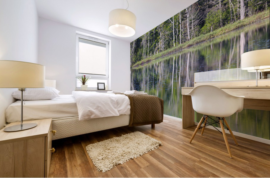 Elbow Pond - North Woodstock New Hampshire Mural print