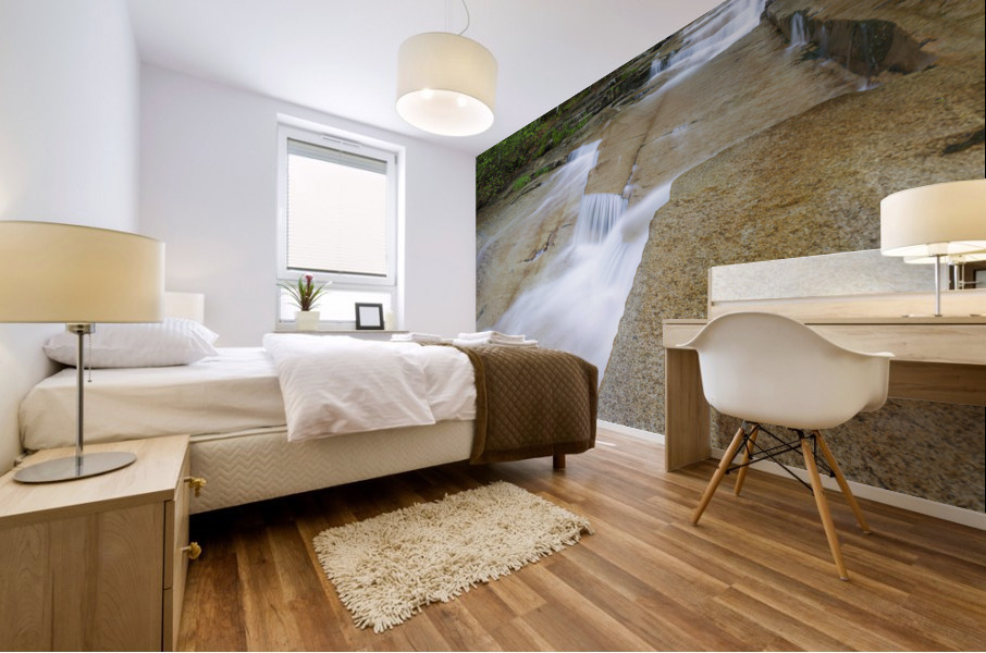 Walker Brook Cascades - Franconia Notch New Hampshire Mural print