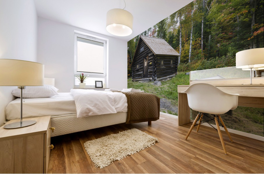 Fabyan Guard Station - Carroll New Hampshire Impression murale