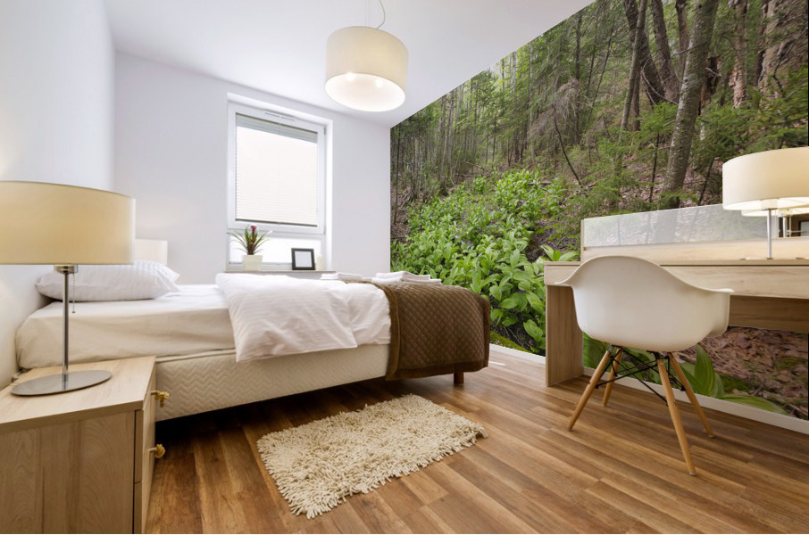 Thoreau Falls Trail - Pemigewasset Wilderness New Hampshire Impression murale