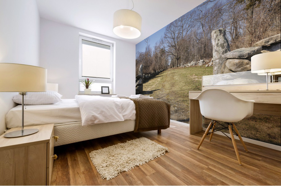 Odiorne Point State Park - Rye New Hampshire Mural print