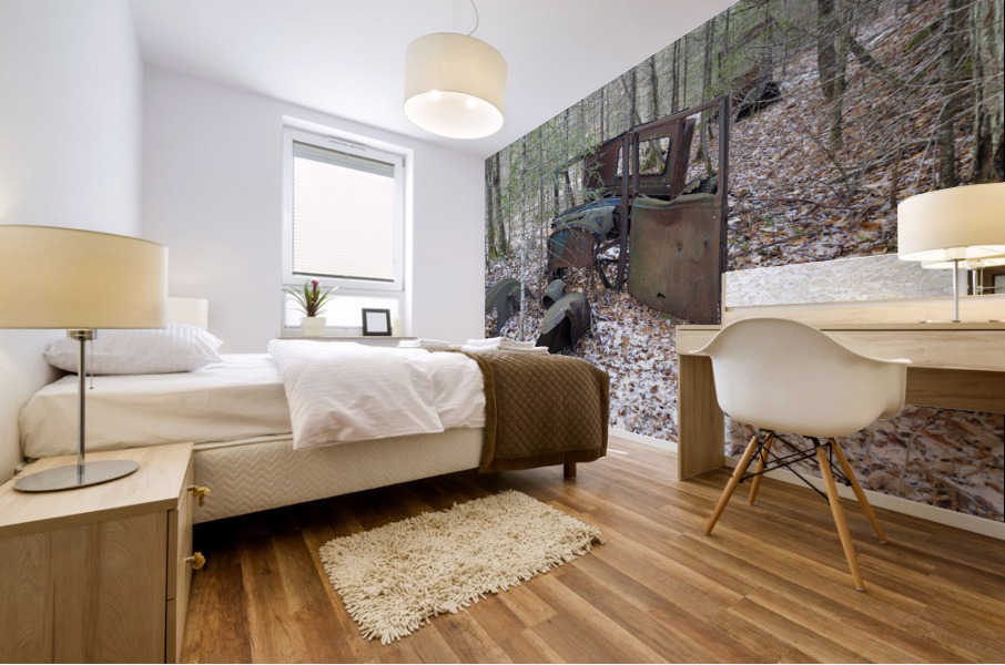 Tunnel Brook - Benton New Hampshire Impression murale