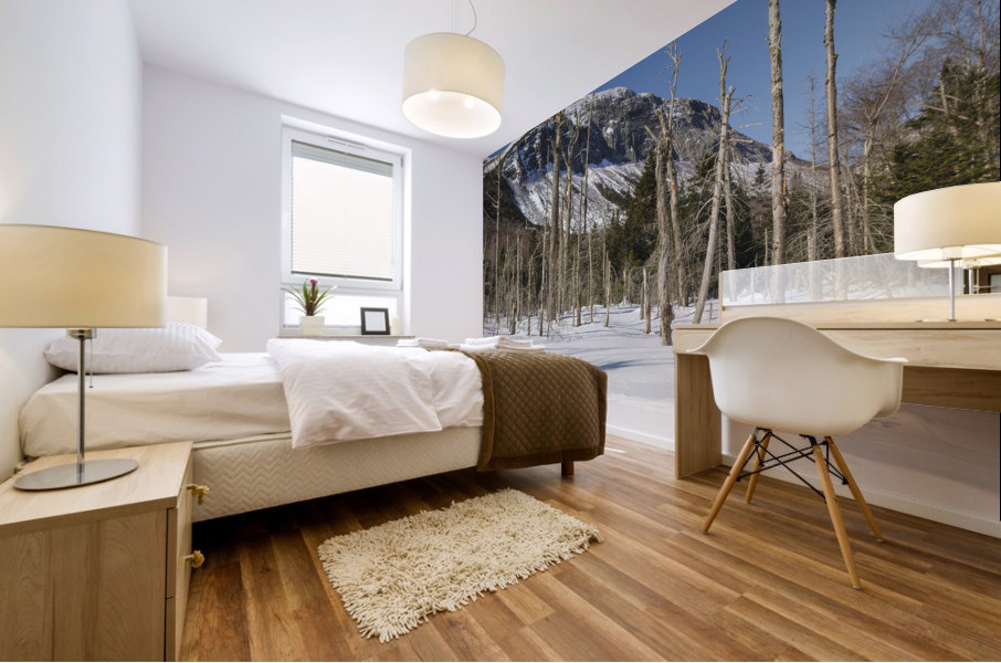 Pemi Trail - Franconia Notch White Mountains Mural print