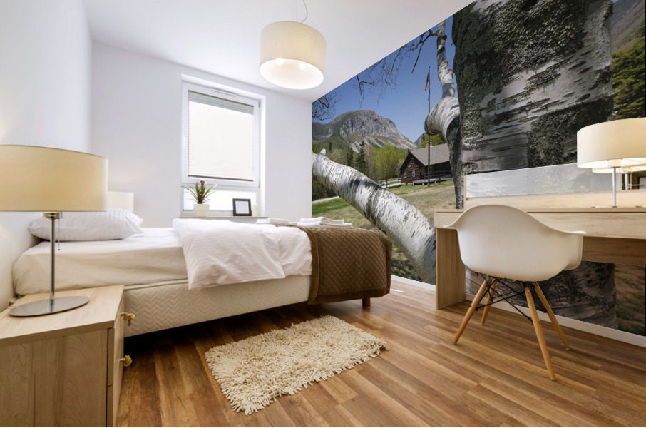 Lafayette Place - Franconia Notch New Hampshire Mural print