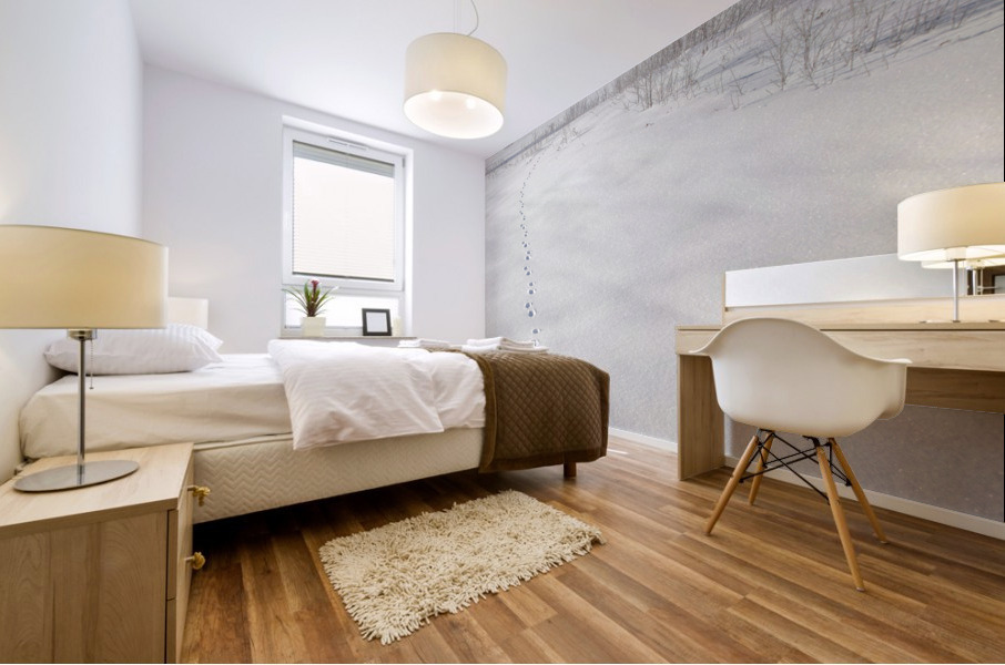 Mount Passaconaway - Albany New Hampshire Mural print