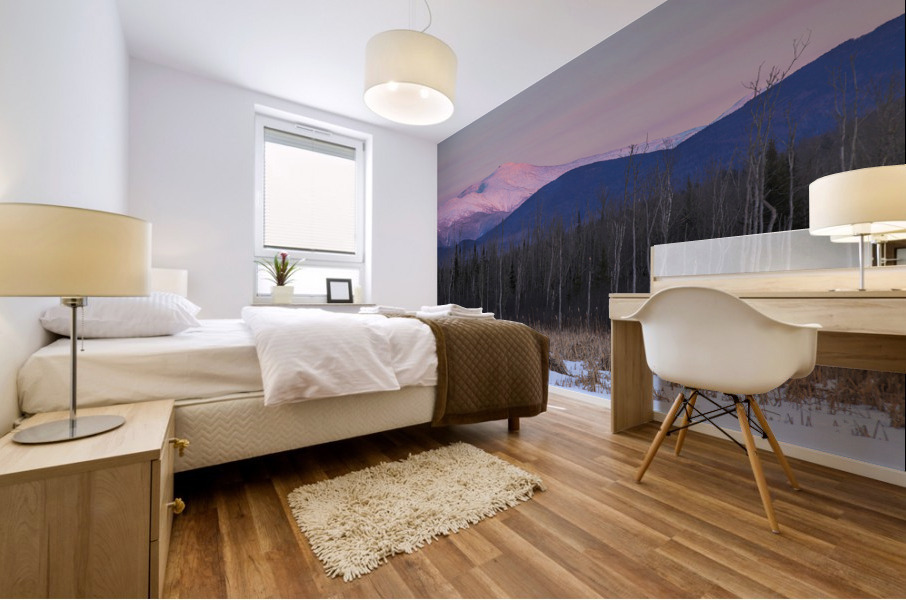 Pondicherry Wildlife Refuge - Jefferson New Hampshire Mural print