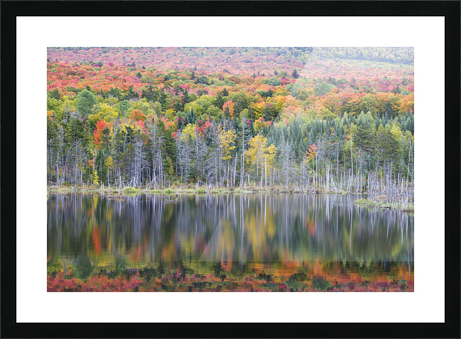 Old Cherry Mountain Road - Carroll New Hampshire Picture Frame print