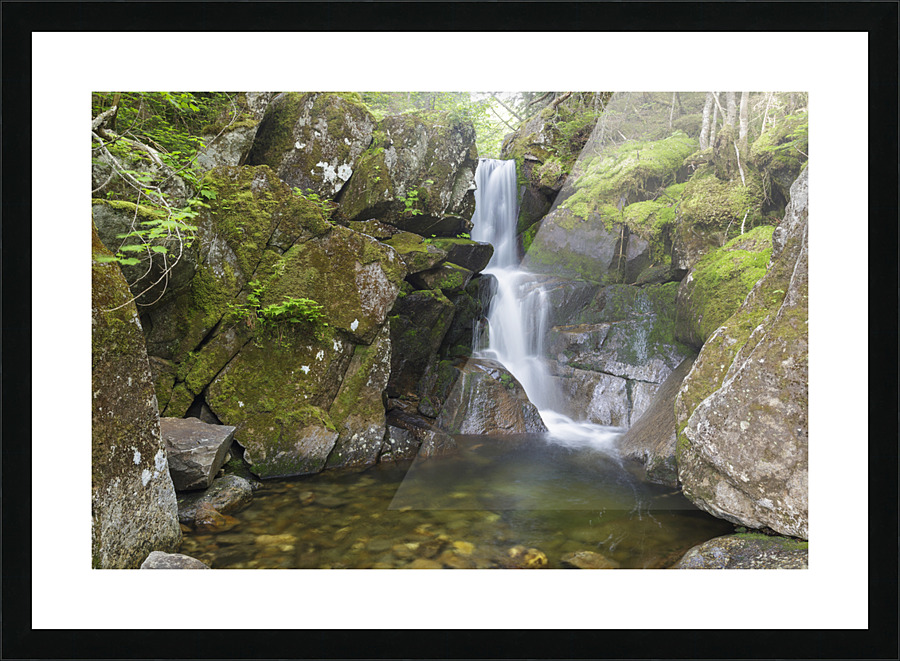 Duck Fall - Low and Burbanks Grant New Hampshire  Picture Frame print