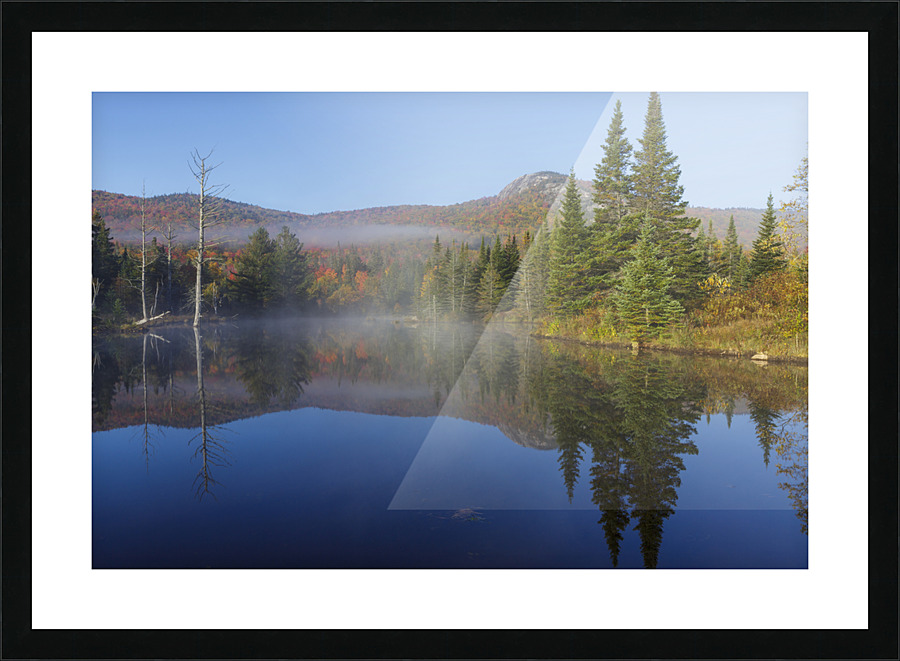 Wildlife Pond - Bethlehem New Hampshire Picture Frame print