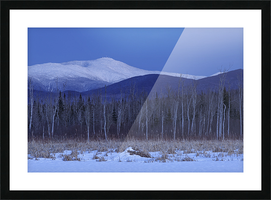 Mount Washington - Pondicherry Wildlife Refuge New Hampshire Picture Frame print