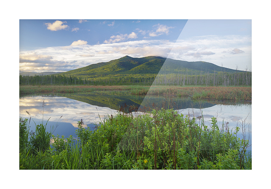 Cherry Mountain - Moorhen Marsh Pondicherry Wildlife Refuge Impression et Cadre photo