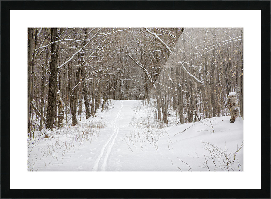 Lafayette Ski Trails - Franconia New Hampshire Picture Frame print