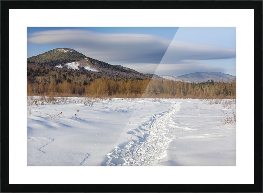 Downes - Oliverian Brook Ski Trail - White Mountains New Hampshire Picture Frame print