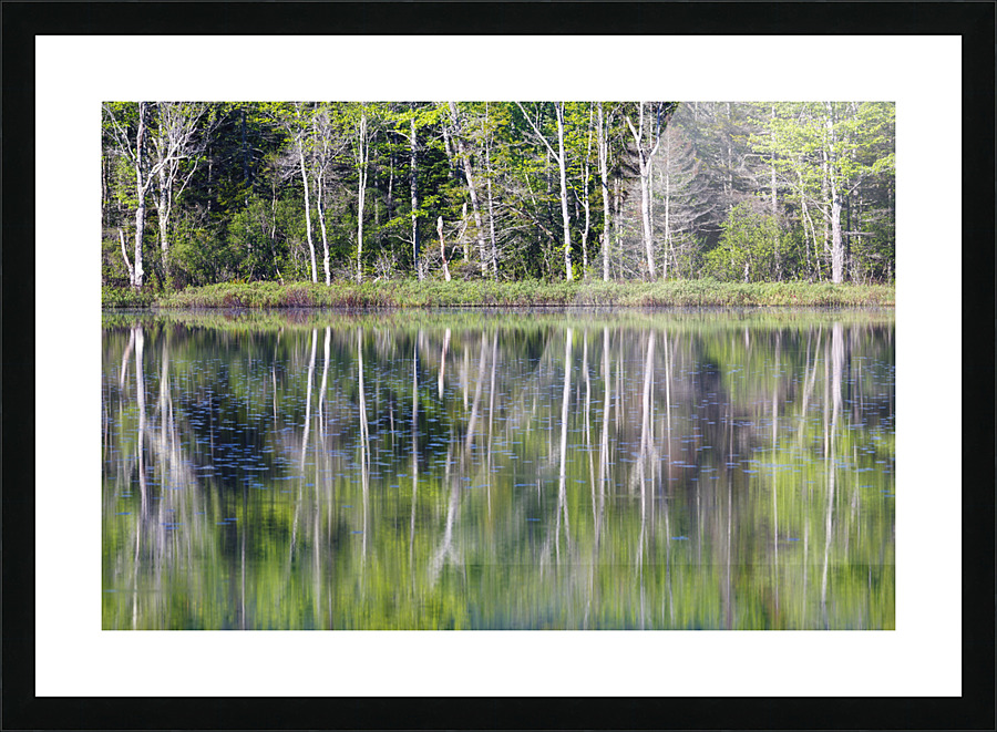 Elbow Pond - North Woodstock New Hampshire Picture Frame print