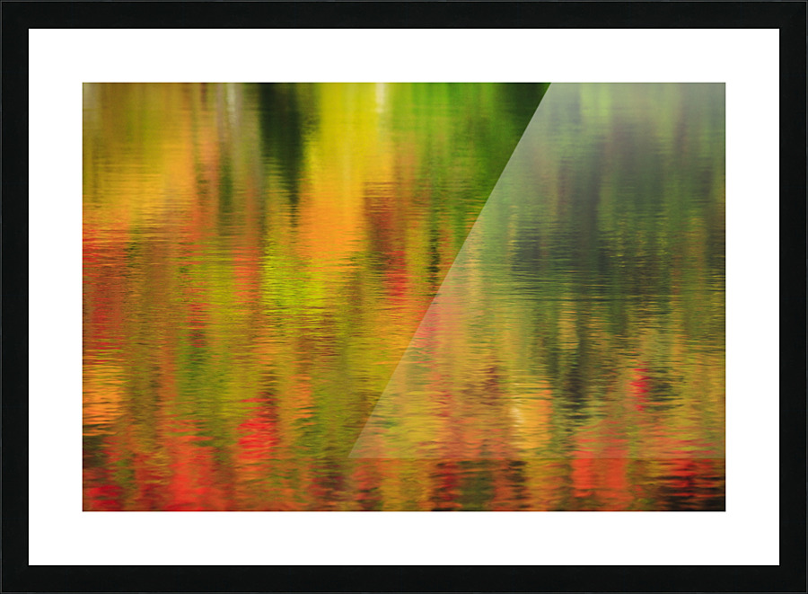 Wildlife Pond - Bethlehem  New Hampshire  Picture Frame print