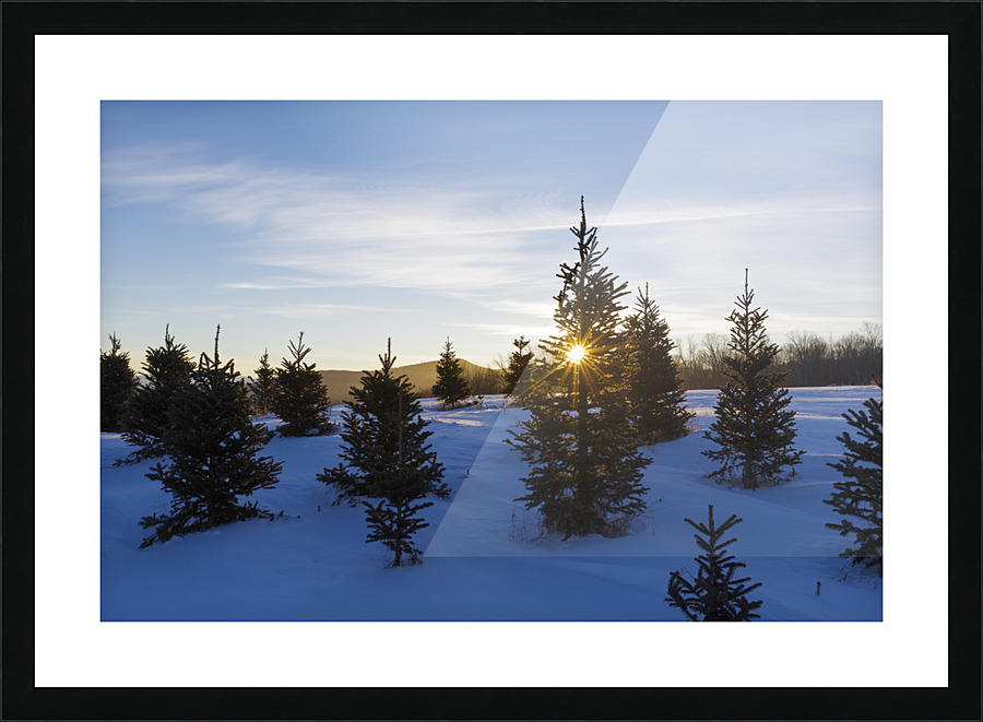 The Rocks Estate - Bethlehem New Hampshire Picture Frame print