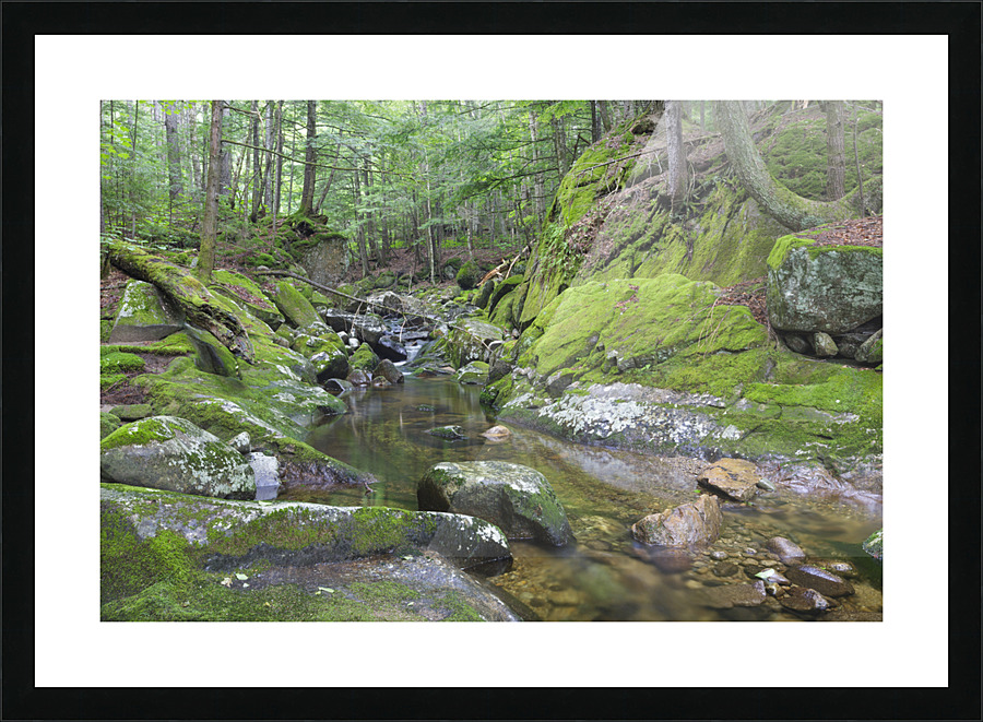 Walker Brook - Woodstock New Hampshire Impression et Cadre photo