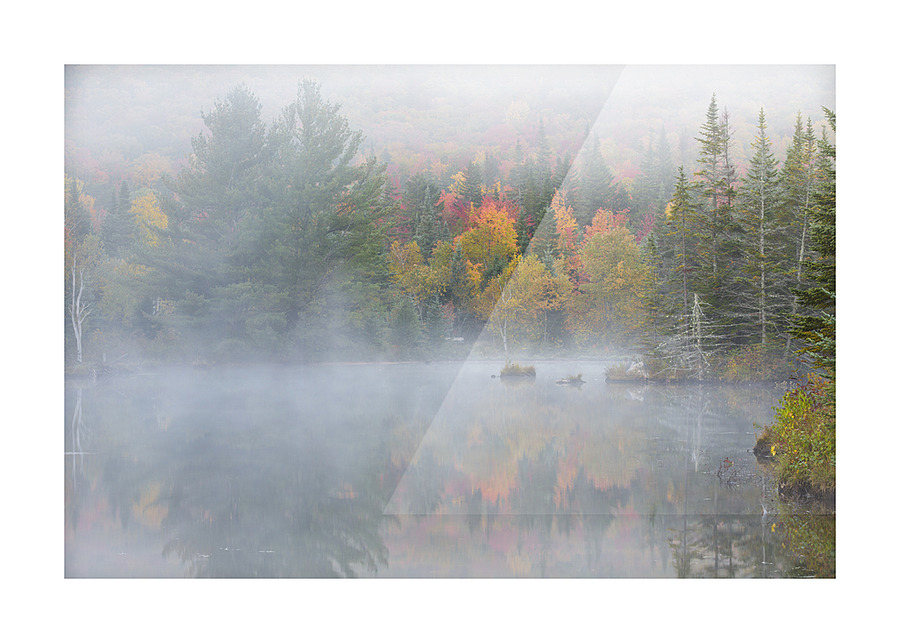 Wildlife Pond - Bethlehem New Hampshire Picture Frame print